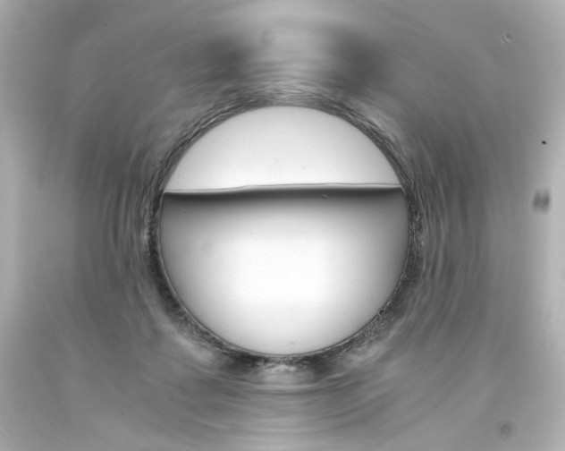 X0000094360315200711021342