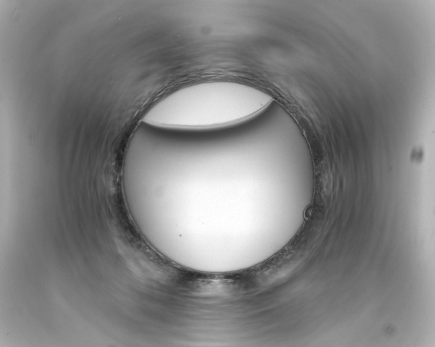 X0000094360316200711021342