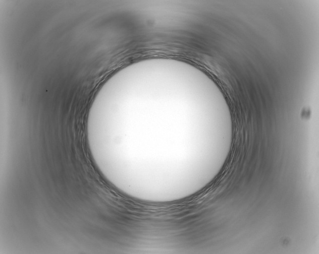 X0000094360317200711021342