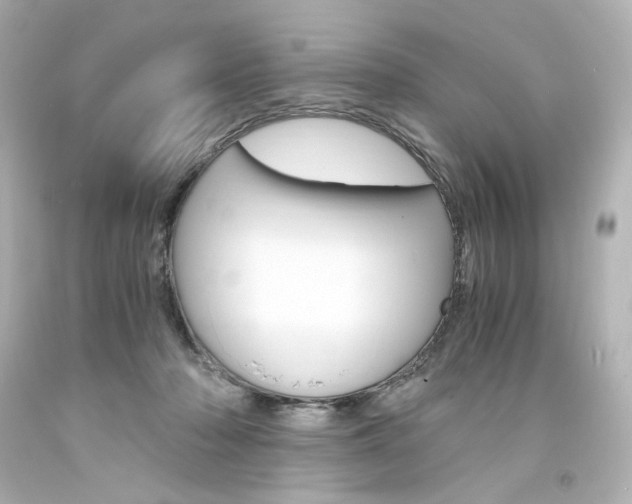 X0000094360318200711021342