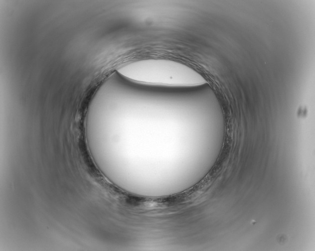X0000094360319200711021342