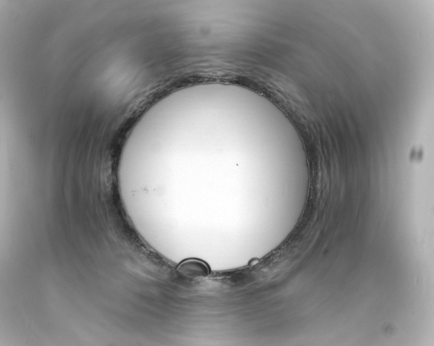 X0000094360320200711021342