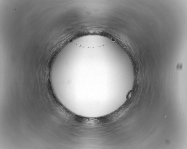 X0000094360321200711021342