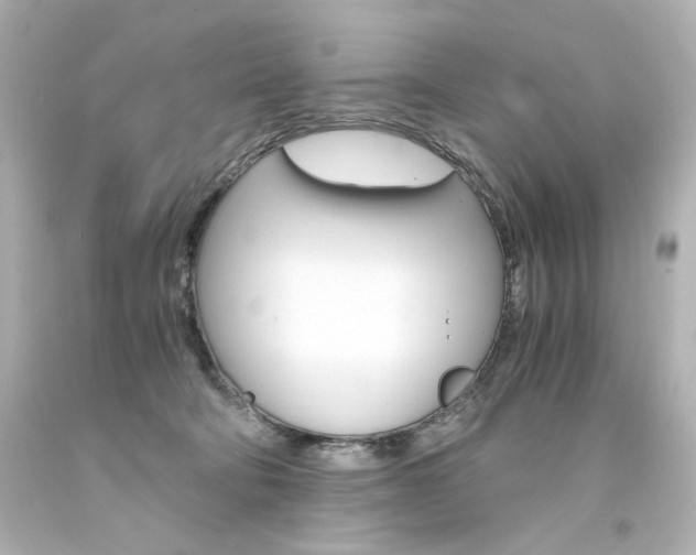 X0000094360322200711021342