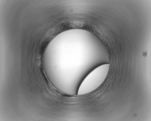 X0000094360323200711021342