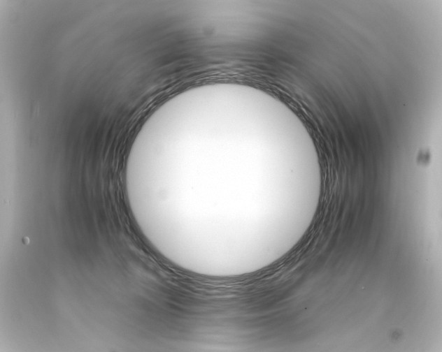 X0000094360324200711021342