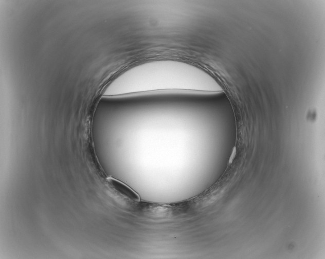 X0000094360325200711021342