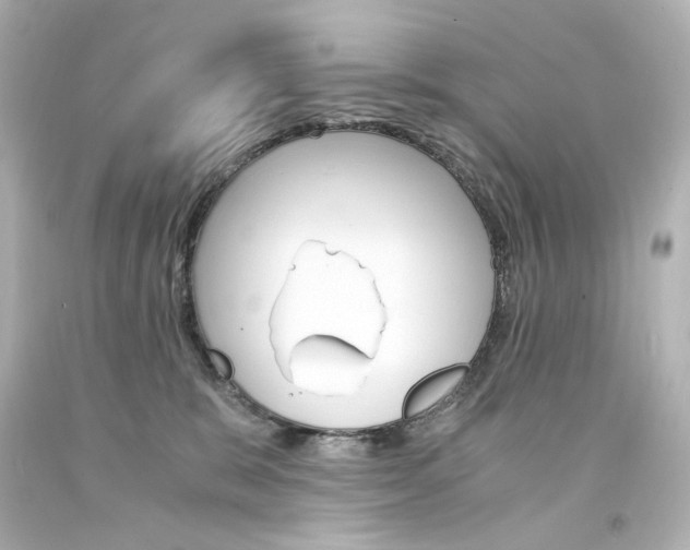 X0000094360327200711021342