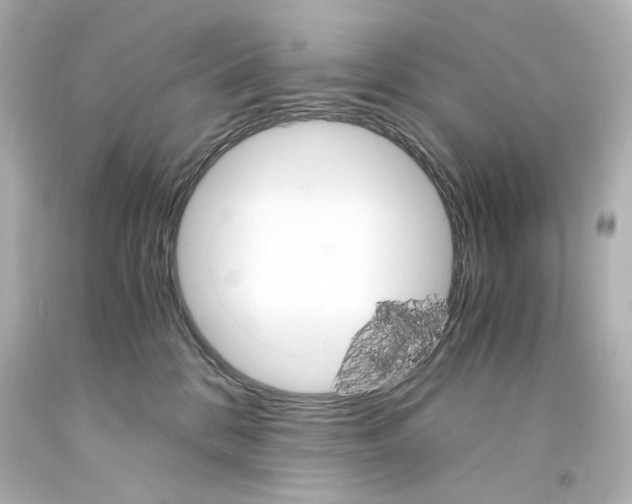 X0000094360328200711021342