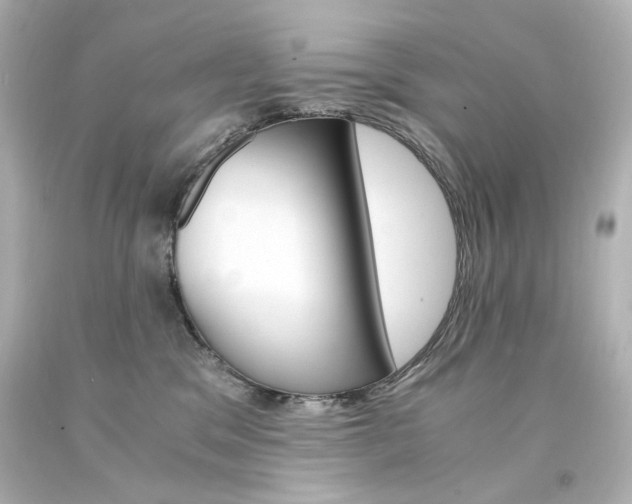 X0000094360329200711021342