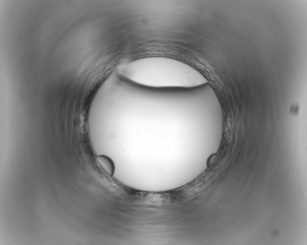 X0000094360330200711021342