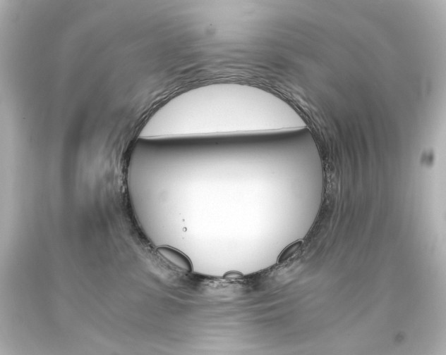 X0000094360331200711021342
