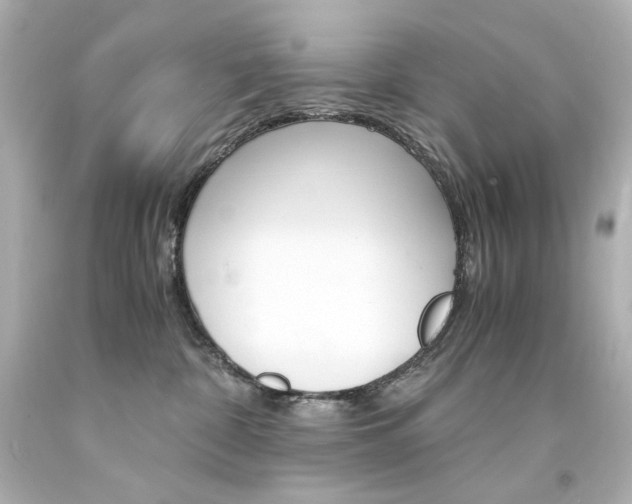 X0000094360332200711021342