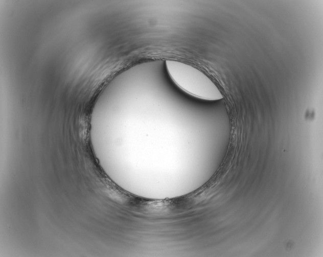 X0000094360335200711021342