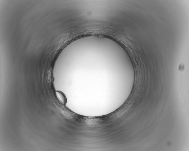 X0000094360336200711021342