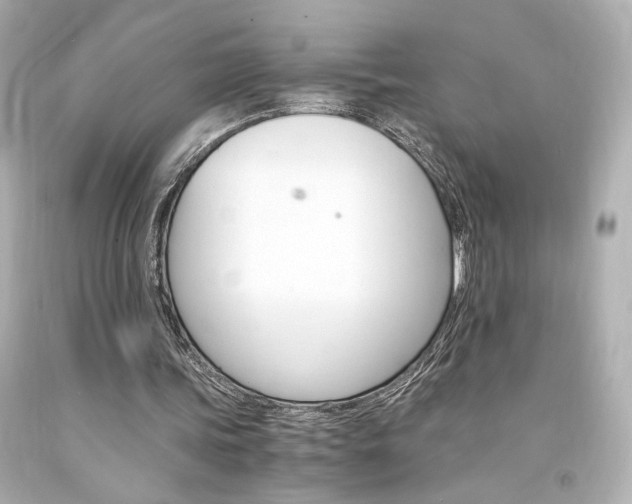X0000094360339200711021341