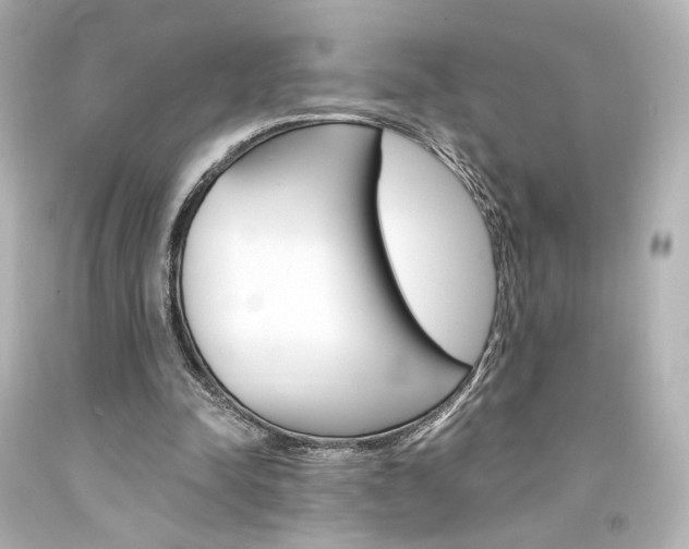 X0000094360342200711021341
