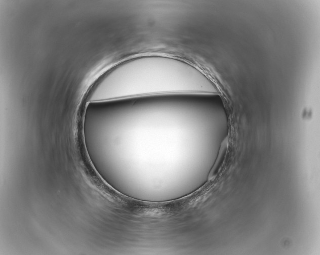 X0000094360344200711021341