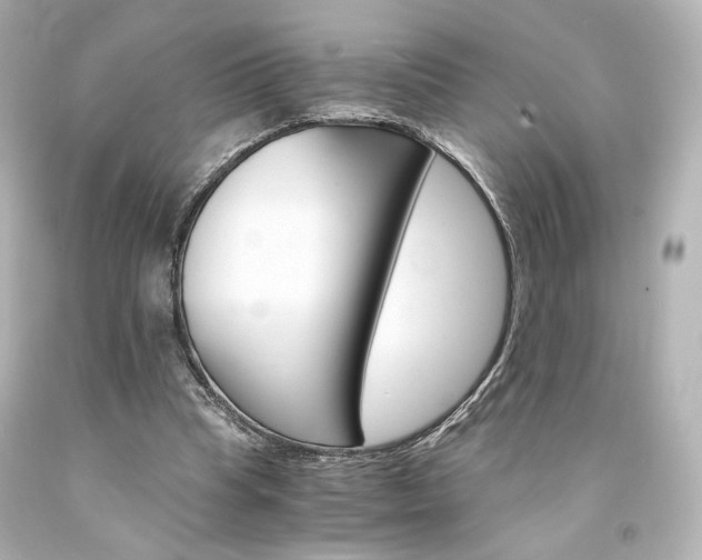 X0000094360345200711021341