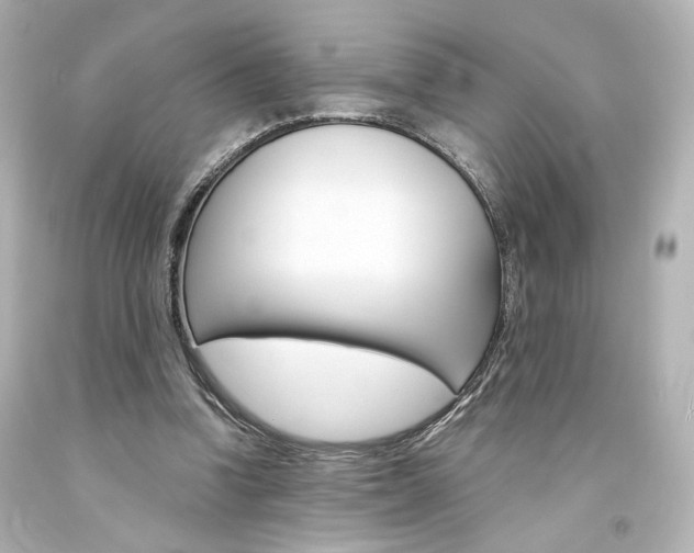 X0000094360346200711021341