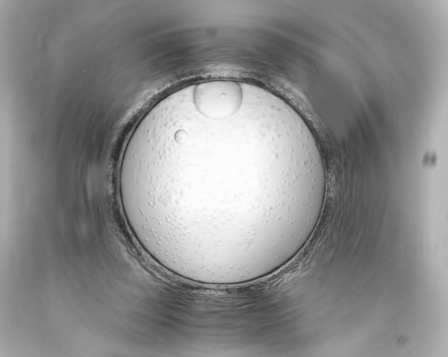 X0000094360347200711021341