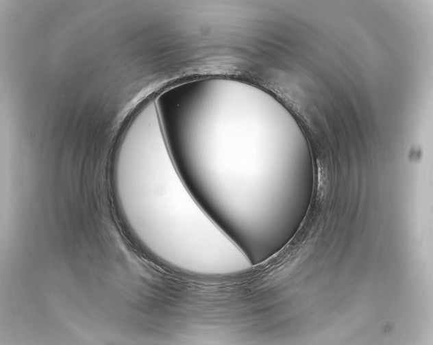X0000094360348200711021341