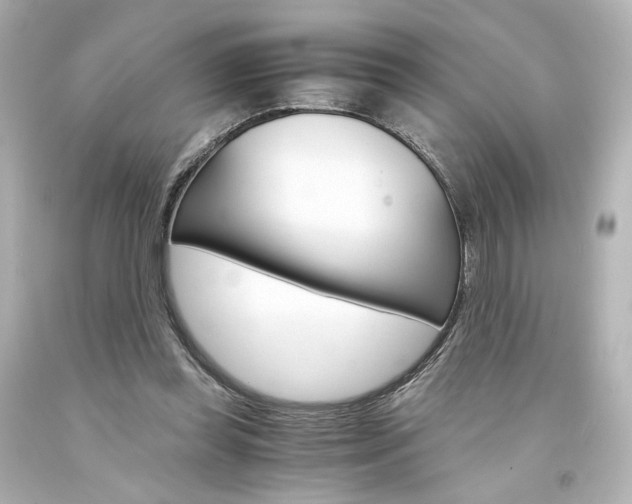 X0000094360349200711021341