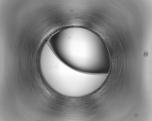 X0000094360350200711021341
