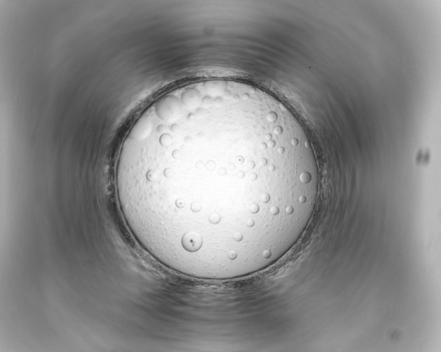 X0000094360351200711021341