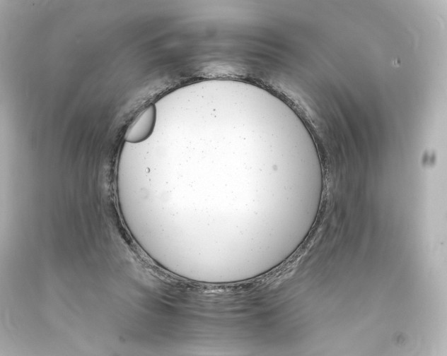 X0000094360353200711021341