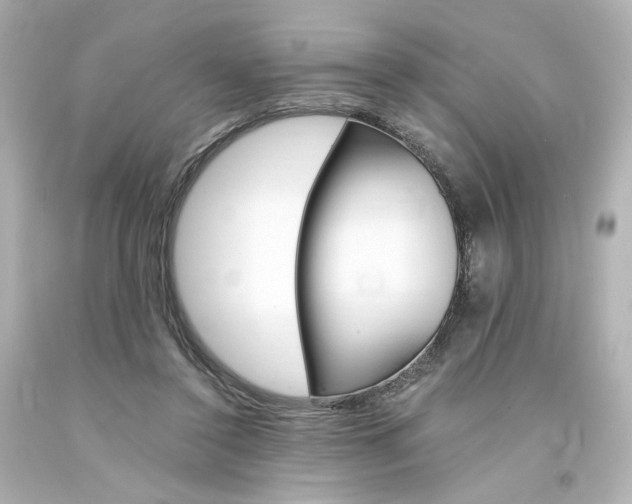 X0000094360356200711021341