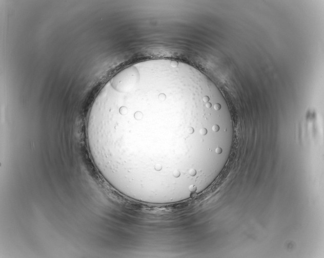 X0000094360359200711021341