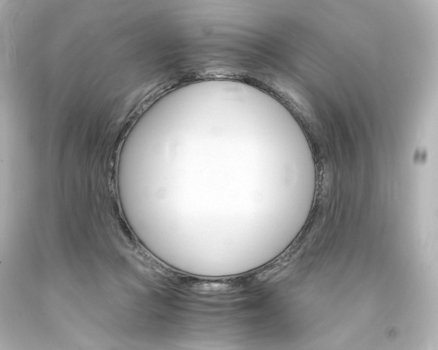 X0000094360361200711021341