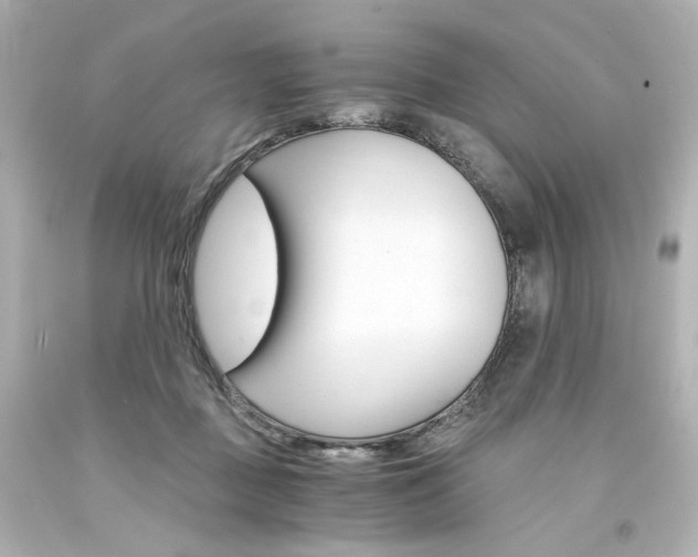 X0000094360363200711021341