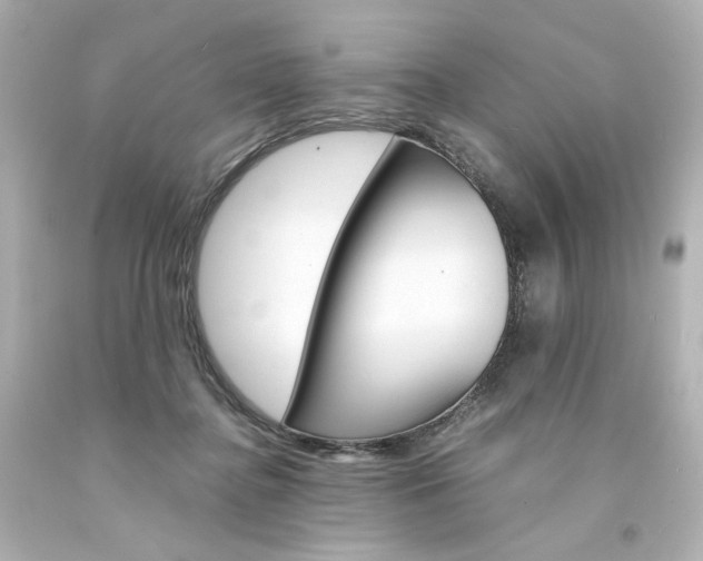 X0000094360364200711021341