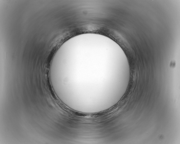 X0000094360366200711021341