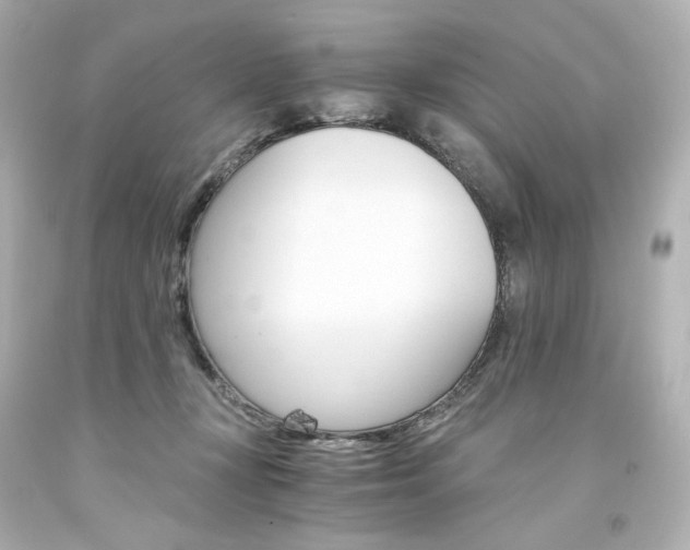 X0000094360367200711021342