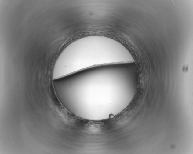 X0000094360368200711021342