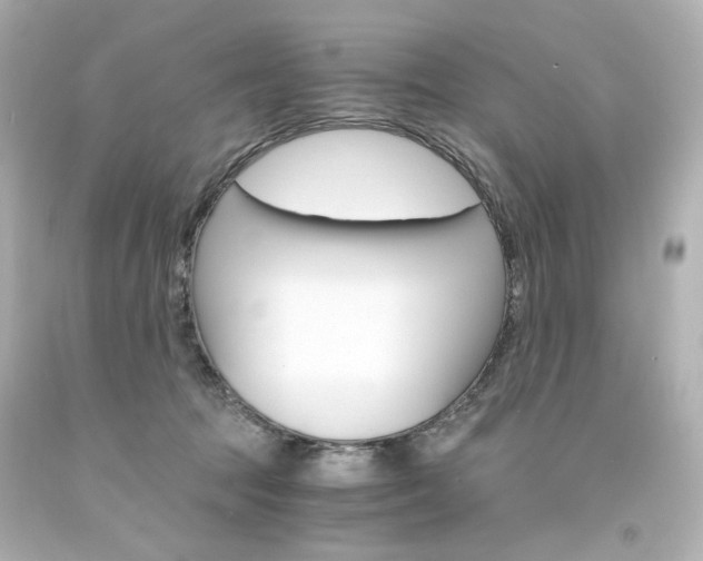 X0000094360369200711021342