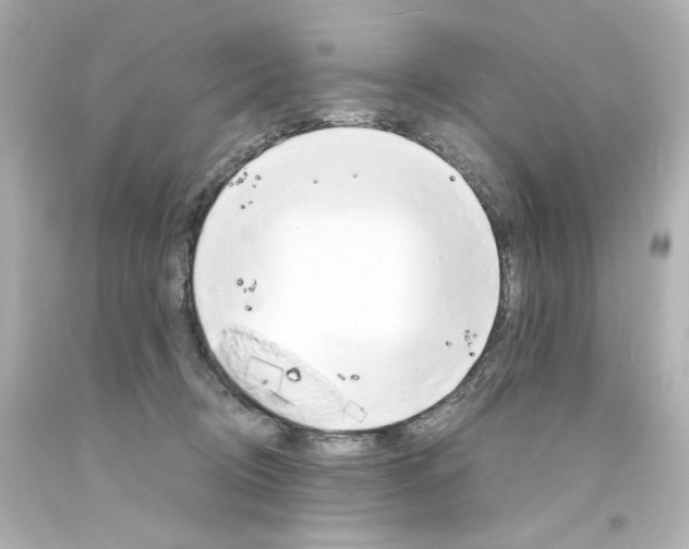 X0000094360370200711021342