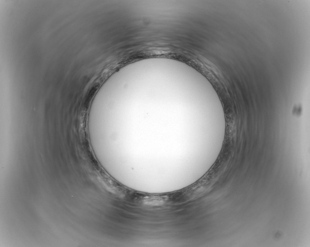 X0000094360373200711021342