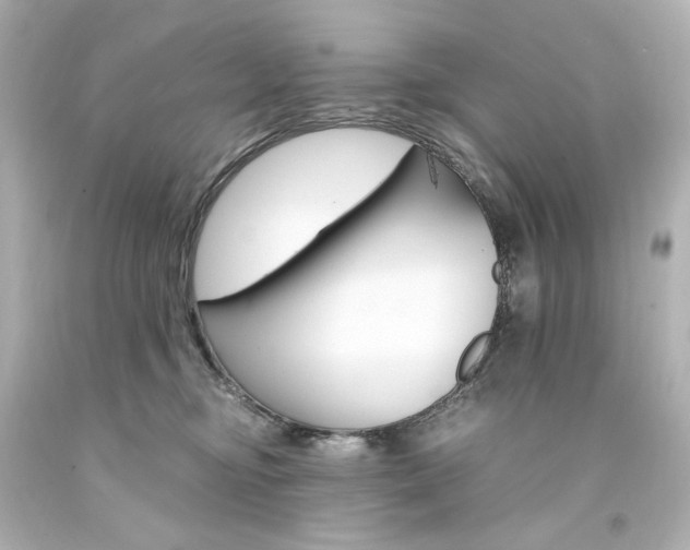 X0000094360374200711021342