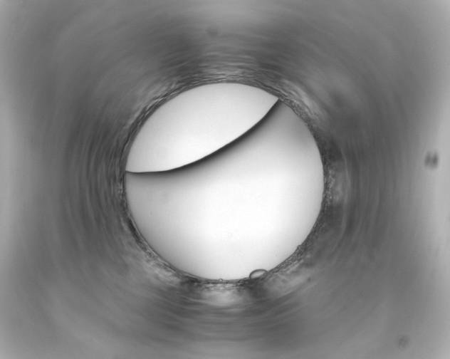 X0000094360377200711021342