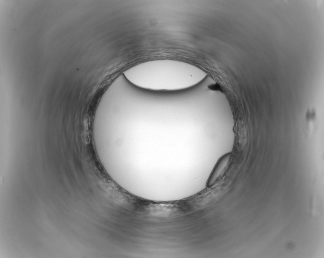 X0000094360378200711021342