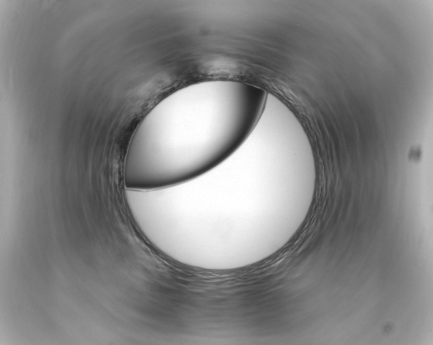 X0000094360379200711021342