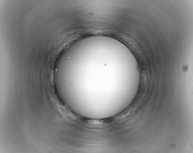 X0000094360380200711021342