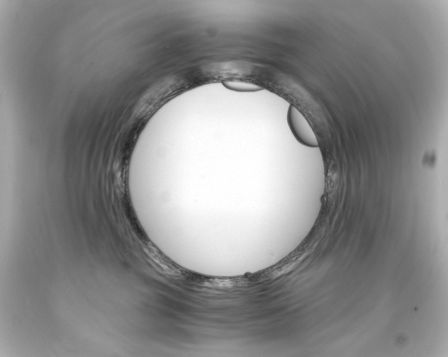 X0000094360381200711021342