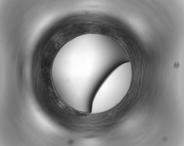 X0000094360383200711021342