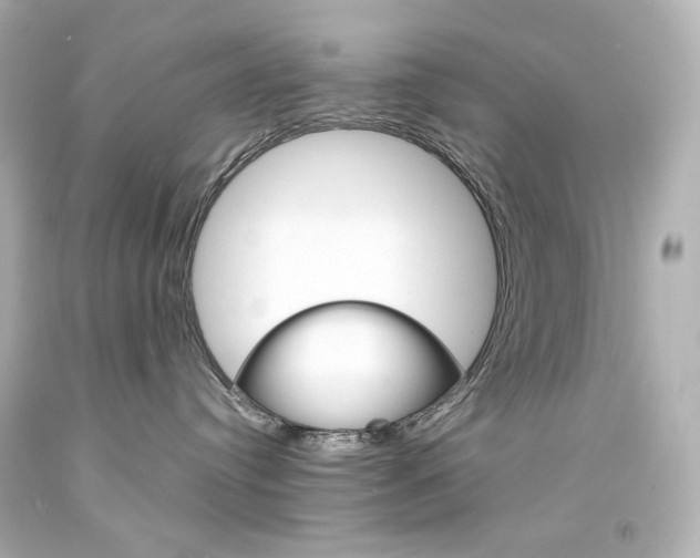 X0000094360384200711021342