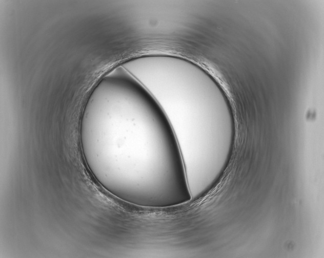 X0000094360385200711021341